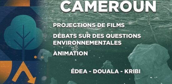 Envirofest Cameroun