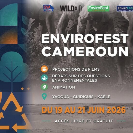 Envirofest Cameroun 2 image