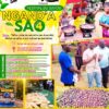 Ngand'a Sao 4