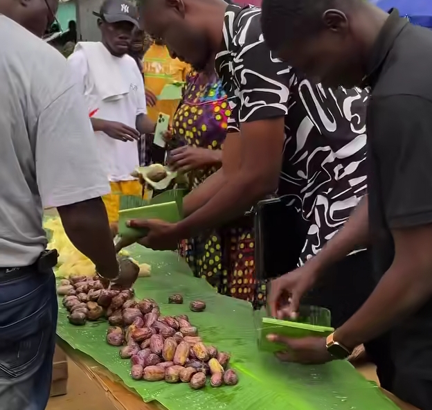 Ngand'a Sao Festival du Safou 2025